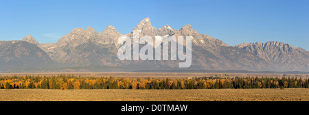 Montagne Rocciose Tetons caduta di picco di fogliame di autunno panorama deserto orizzontale gamma Teton Grand Teton National Park Foto Stock