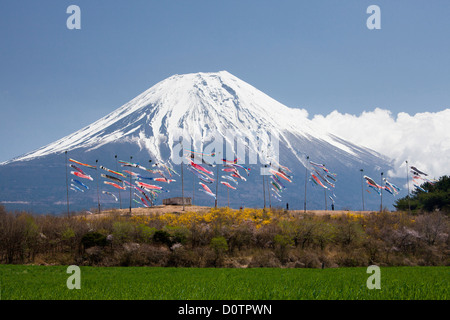 Giappone Asia viaggi di vacanza Bambini Koinobori Festival Monte Fuji Fuji Fujiyama Montagna neve molla volcano garden Foto Stock