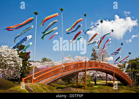 Giappone, Asia, vacanze, viaggi, Koinobori, Bambini Festival, molla, vulcano, giardino, bandiera, carpa, streamer, Giapponese, giardino, BRI Foto Stock