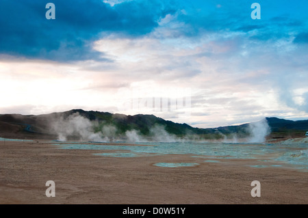 Geyser, vulcanismo, geotermia, hot springs, fonti, Islanda, l'Europa, luogo di interesse storico, struttura, acqua, vapore, VAP Foto Stock