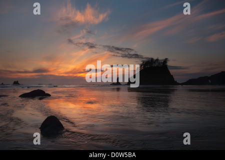 Stati Uniti d'America, Vereinigte Staaten, Amerika, Olympic Nationalpark, Seconda Spiaggia, 2. Spiaggia, Wasser, Strand, Ozean, Pazifischer Ozean, Nordw Foto Stock