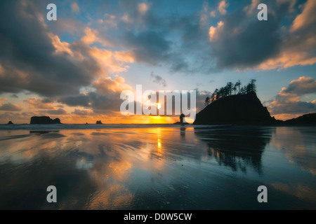 Stati Uniti d'America, Vereinigte Staaten, Amerika, Olympic Nationalpark, Seconda Spiaggia, 2. Spiaggia, Wasser, Strand, Ozean, Pazifischer Ozean, Nordw Foto Stock