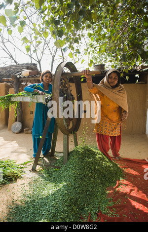 Donna di foraggi di taglio con la figlia su una fresa di pula, Farrukh Nagar, Gurgaon, Haryana, India Foto Stock