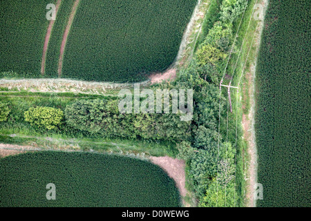 Vista su Essex, Ballooning, Chipping Ongar, Essex, UK Foto Stock