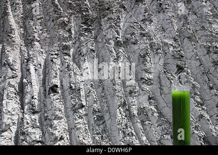 Friedland, Germania, Glasgefaess con una miscela di microalghe e argilla finissima polvere Foto Stock