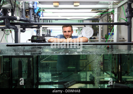 Rostock, Germania, uno studente laureato nel laboratorio dell'Università di gamberi di allevamento in Rostock Foto Stock