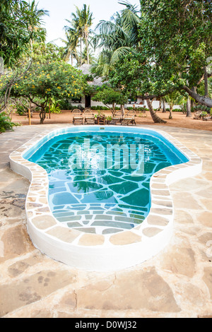 Kenya. Piscina di lusso nel giardino africano con specialità tipiche locali di sedie in legno su sfondo Foto Stock