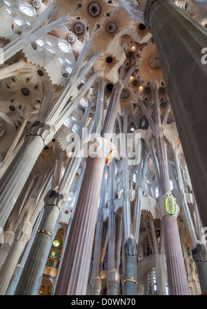 Basilica de la Sagrada Familia si trova a Barcellona Spagna e progettato da Antoni Gaudi, cominciò la costruzione nel 1882. Foto Stock