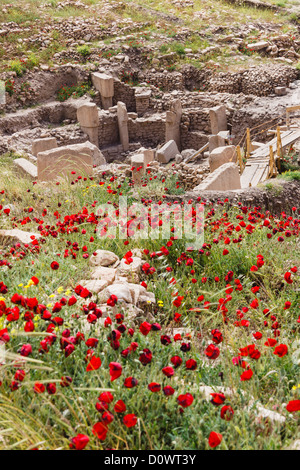 Sito archeologico di Gobekli Tepe, il più antico conosciuto uomo-realizzata struttura religiosa. Sanliurfa, a sud-est della Turchia Foto Stock