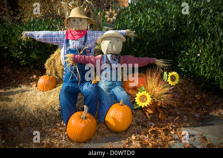 GA00213-00...GEORGIA - Autunno decorazione presso Amicalola Falls State Park. Foto Stock