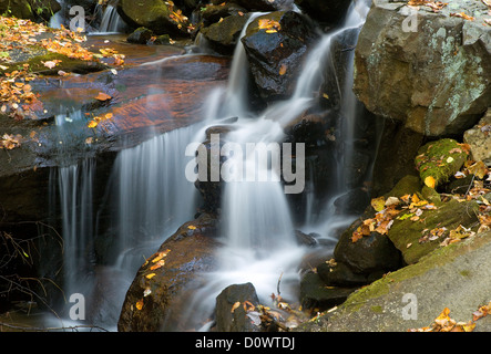 GA00219-00...GEORGIA - Little Creek Amicalola in Amicalola Falls State Park. Foto Stock