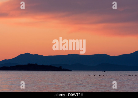 Tramonto su Stretto di Georgia, BC, Canada guardando verso le isole Winchelsea con Texada & Lasqueti dietro nel mese di agosto Foto Stock