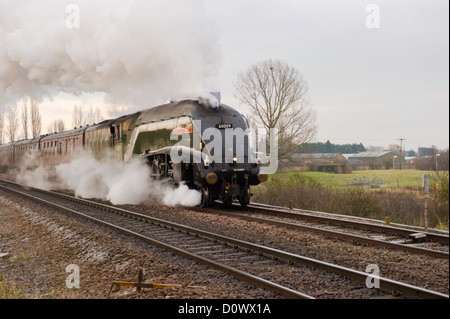 'Unione del Sud Africa' LNER 60009 A4 classe pacifico locomotiva a vapore cale il Natale Rosa Bianca escursione. Foto Stock