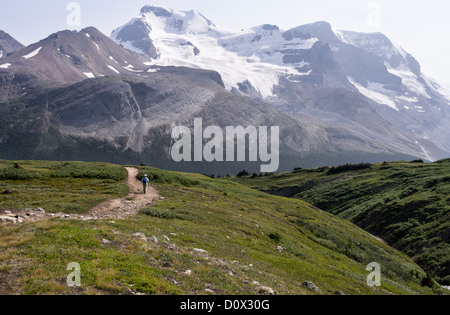 Per andare a casa. Una donna escursionista passeggiate con i bastoncini giù per un sentiero escursionistico verso un imponente ghiacciaio montagna coperta. Foto Stock