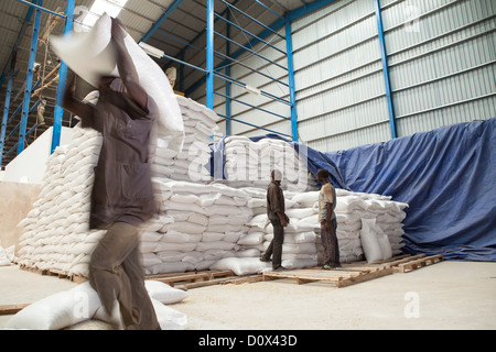 Lavoratori caricare sacchi di mais in un magazzino a Kampala in Uganda, Africa orientale. Foto Stock