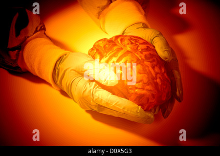 Computer generato mani guantate azienda cervello umano abstract Foto Stock