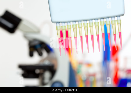 Chimica laboratorio scientifico multi channel pipette e provette Foto Stock