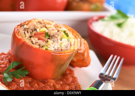 Ripiene al forno il peperone rosso riempito con carne macinata, la cipolla, riso, pomodori e cipolla verde Foto Stock