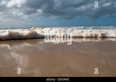 Onda schiumoso lavaggio fino sulla spiaggia di angelo, Ballina, NSW, Australia Foto Stock