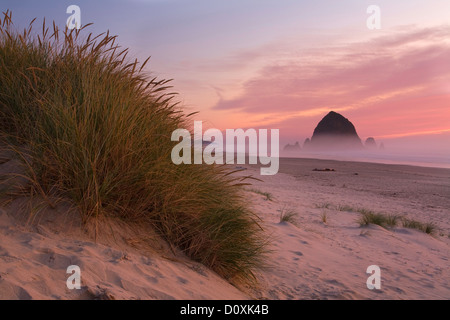 Stati Uniti d'America, Haystack Rock, seastack o, Oregon, COSTA, COSTA, stack di mare, spiaggia, mare, oceano pacifico, nebbia, foschia, foschia, tramonto Foto Stock