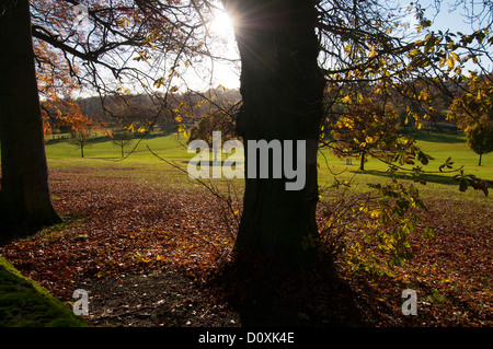 Autunno in scena Gadebridge Park, Hemel Hempstead, Hertfordshire, Regno Unito. Foto Stock