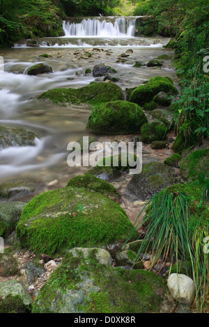 Aa, Aa brook, Brook, Brook bed, movimento, fiume, flusso, Kempten, Kemptner orrido, Kemptnertobel, MOSS, Svizzera, Europa, pietra Foto Stock