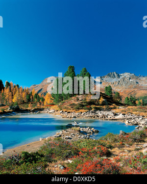 Austria, Europa, Tirolo Tirolo, Paznaun, Paznauntal, Ischgl, Mathon, Berglisee, lago, lago di montagna, autunno, Zirben, larici, wat Foto Stock