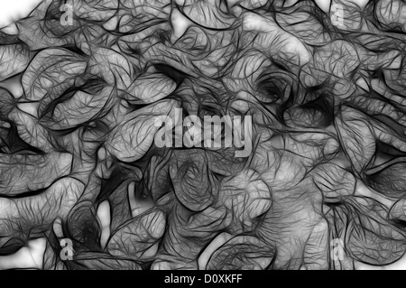Foglie secche Foto Stock