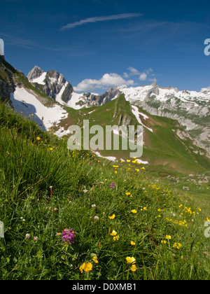 Alpi, Alpstein, Appenzell Innerrhoden,, Alpi, Alpino, montagna, montagne, Europa, montagne, Svizzera, Altmann, Säntis, glob Foto Stock