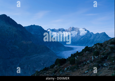 Geisshorn, grandi piedi horn, Rothorn, Rotstock, ghiacciaio di Aletsch, ghiaccio, Europa, ghiacciaio, Vallese, grande ghiacciaio di Aletsch, glaci Aletsch Foto Stock