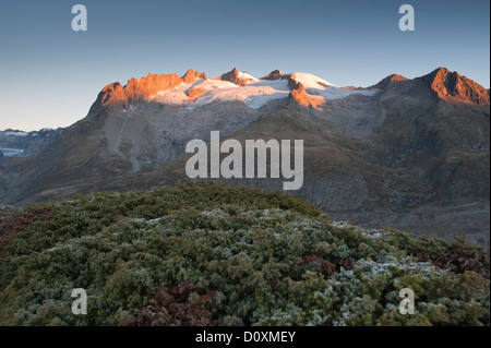 Geisshorn, grandi piedi horn, Rothorn, Rotstock, ghiacciaio di Aletsch, ghiaccio, Europa, ghiacciaio, Vallese, grande ghiacciaio di Aletsch, glaci Aletsch Foto Stock