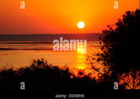 Africa, Botswana, Chobe National Park, sunrise, Chobe, sul fiume rosso, sun Foto Stock