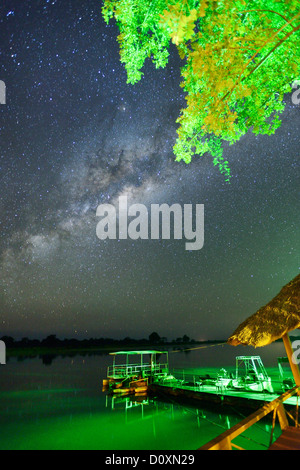 Africa, Sud, Namibia, Caprivi, notte, sky, stelle, astro, fotografia, costellata di sky, starlit, Okavango, Foto Stock