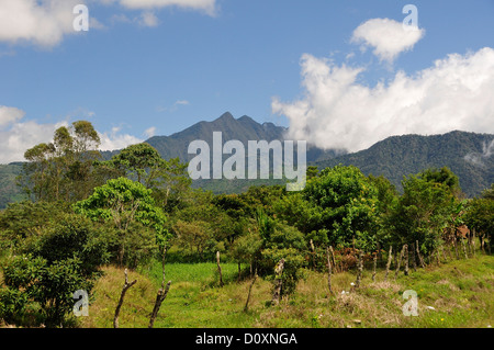 Vulcano, paesaggio, Volcan Baru, Panama, America centrale, Foto Stock