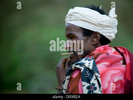 Ritratto di una tribù Borana uomo masticare un bastone, Yabello, Valle dell'Omo, Etiopia Foto Stock