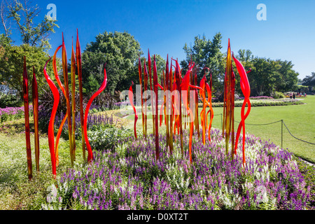 Dale Chihuly a Dallas Arboretum, DALLAS, STATI UNITI D'AMERICA, Foto Stock