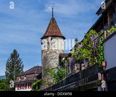 Il lago di Bienne, Canton Berna, La Neuveville, Neuenstadt, Svizzera, Europa, Seeland, paese, città, tower, rook, Foto Stock