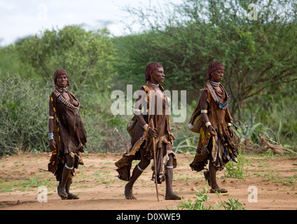 Hamar tribù le donne in Abbigliamento tradizionale a piedi, Turmi, Valle dell'Omo, Etiopia Foto Stock