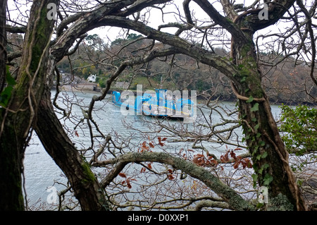 Il Re Harry ferry in inverno. In esecuzione da Feock - Philleigh Foto Stock