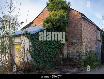 Bovey Tracey, Devon, Inghilterra. Il 29 novembre 2012. Garage rurale che è coperta di edera e di un segno di TLC sulla parete. Foto Stock