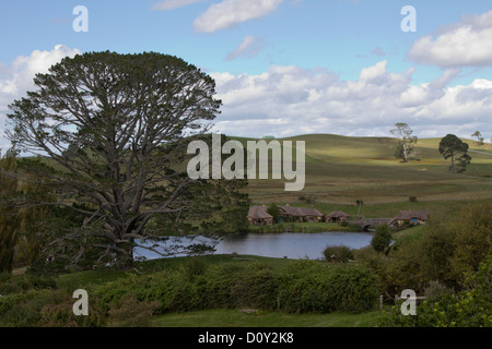 Hobbiton, Nuova Zelanda Foto Stock