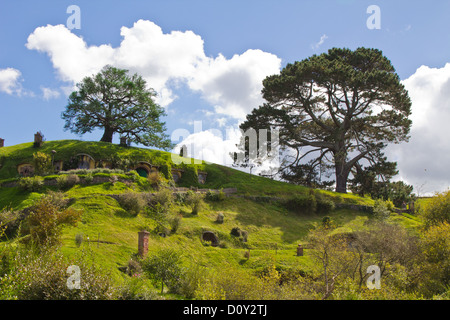 Hobbiton, Nuova Zelanda Foto Stock