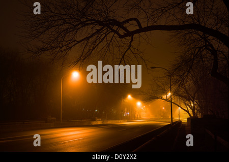 Foggy Misty luci di strada di notte Foto Stock