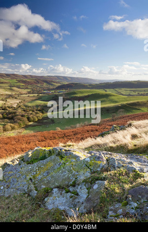 Vista verso la lunga Mynd da vicino la Stiperstones Riserva Naturale Nazionale, Shropshire, Inghilterra, Regno Unito Foto Stock
