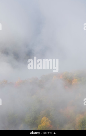 Autunno a colori e salendo la nebbia visto da Webb si affacciano lungo la ritrovata Gap Road nel Parco Nazionale di Great Smoky Mountains. Foto Stock