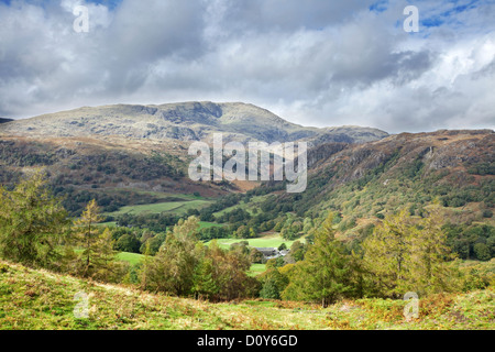 Tempo di autunno nei pressi di Tarn Hows con il Coniston Fells in distanza, Parco Nazionale del Distretto dei Laghi, Cumbria, England Regno Unito Foto Stock