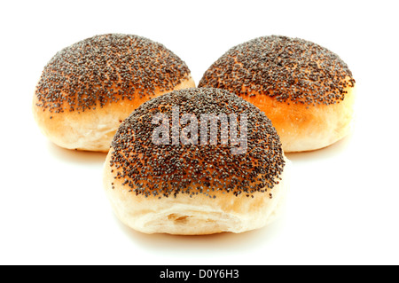 Semi di papavero pane su sfondo bianco Foto Stock