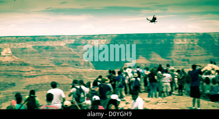 Un condor vola passato come turisti prendere in vista del Gran Canyon, Luglio 2011 Foto Stock