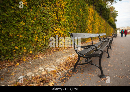 Un paio di passi passato panchine di fronte ad una siepe che sta cambiando a colori dell'autunno all'interno dei motivi di Vienna il Belvedere. Foto Stock