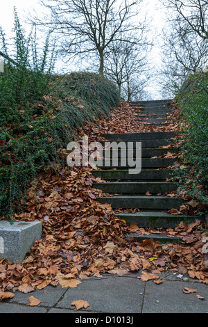 Foglie di autunno sulla soletta di calcestruzzo passi Foto Stock